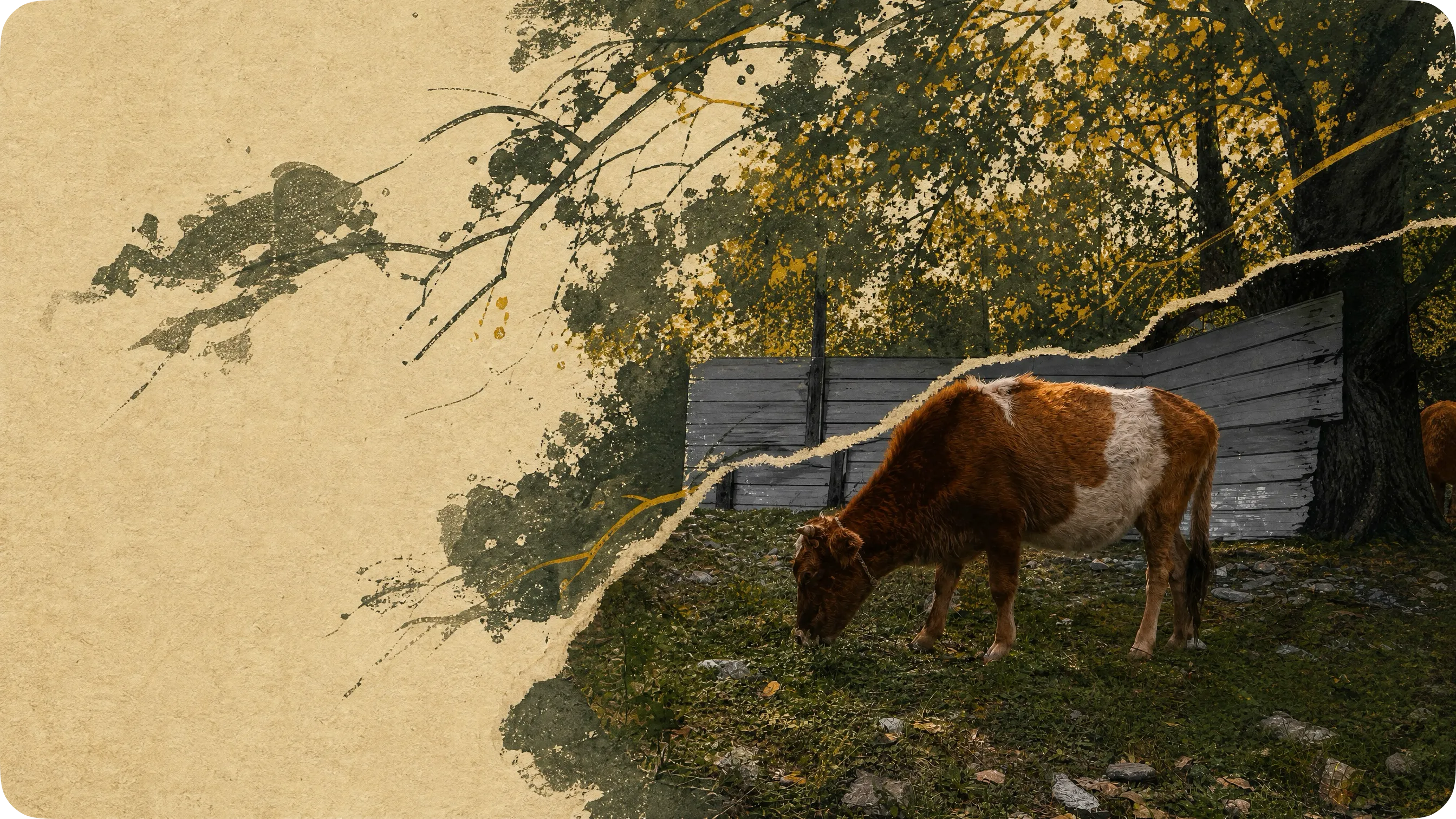 _图片描述